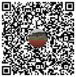 【国际教育学院】项目Q群
